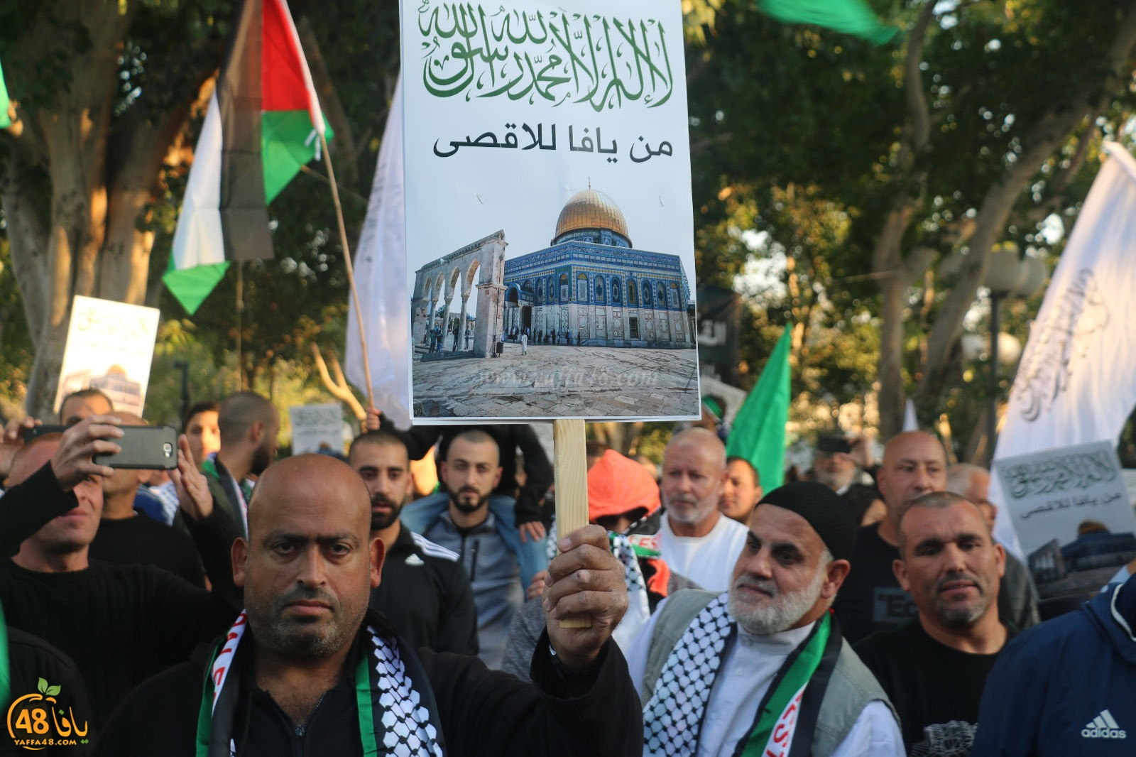 yaffa modahara jeq (40).jpg